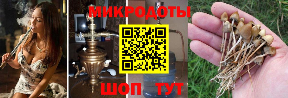 Псилоцибиновые грибы Psilocybine cubensis  Вход с VPN  Галлюциногенные грибы Magic Shrooms  Аша 